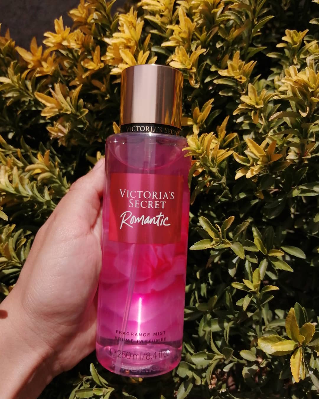 victoria secret romantic night perfume