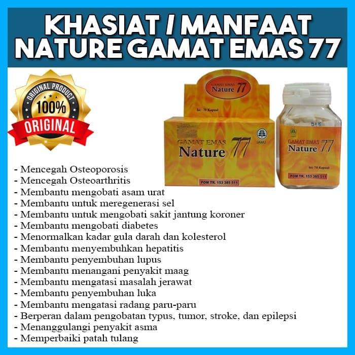 Yuk Lihat Manfaat Gamat Emas 77 Nature 