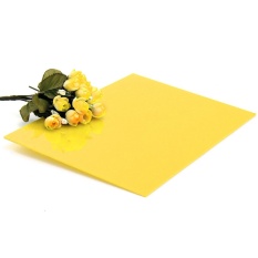 3mm A4 Perspex Lembaran Akrilik Plastik Plexiglass Potong Ukuran Panel 210x297mm-Intl