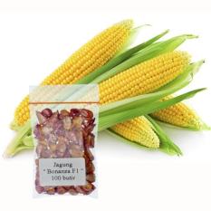 Bibit Jagung BONANZA F1 100 Butir / Hidroponik (09212)