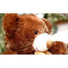 Boneka Beruang Teddy Bear Besar Cokelat Lucu