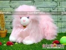 Boneka Kucing Anggora Pink ( HK - 201055 ) di lapak Galeri Boneka pinkcherry