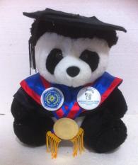 Boneka Wisuda Panda Toga Asli Seperti Almamater