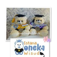 Boneka Wisuda Samarinda Boneka Grosir Kado Perpisahan