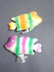 FAS 07 Funny Air Stone Louhan ( 413)
