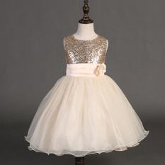 Girls Birthday Dress Cute Sequin Sleeveless Vest Princess Lace
Dress 10 color Baby Dresses For Girls Vestido