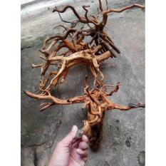 Kayu Rasamala (Size L) Untuk Dekorasi Aquascape - 79E6D6 - Original Asli