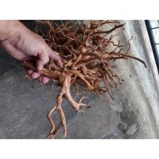 Kayu Rasamala (Size S) Untuk Dekorasi Aquascape - 9D65B9 - Original Asli