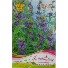 Lavender Bibit Biji Benih Bunga Lavender Import Anti Nyamuk Seed
