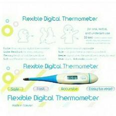 Little Giant Thermometer Digital