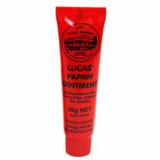 Lucas Papaw Ointment 25 gr