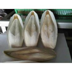 Sotong Buat Burung Pemakan Biji-Bijian Sebagai Asinan - 3Cd753 - Original Asli