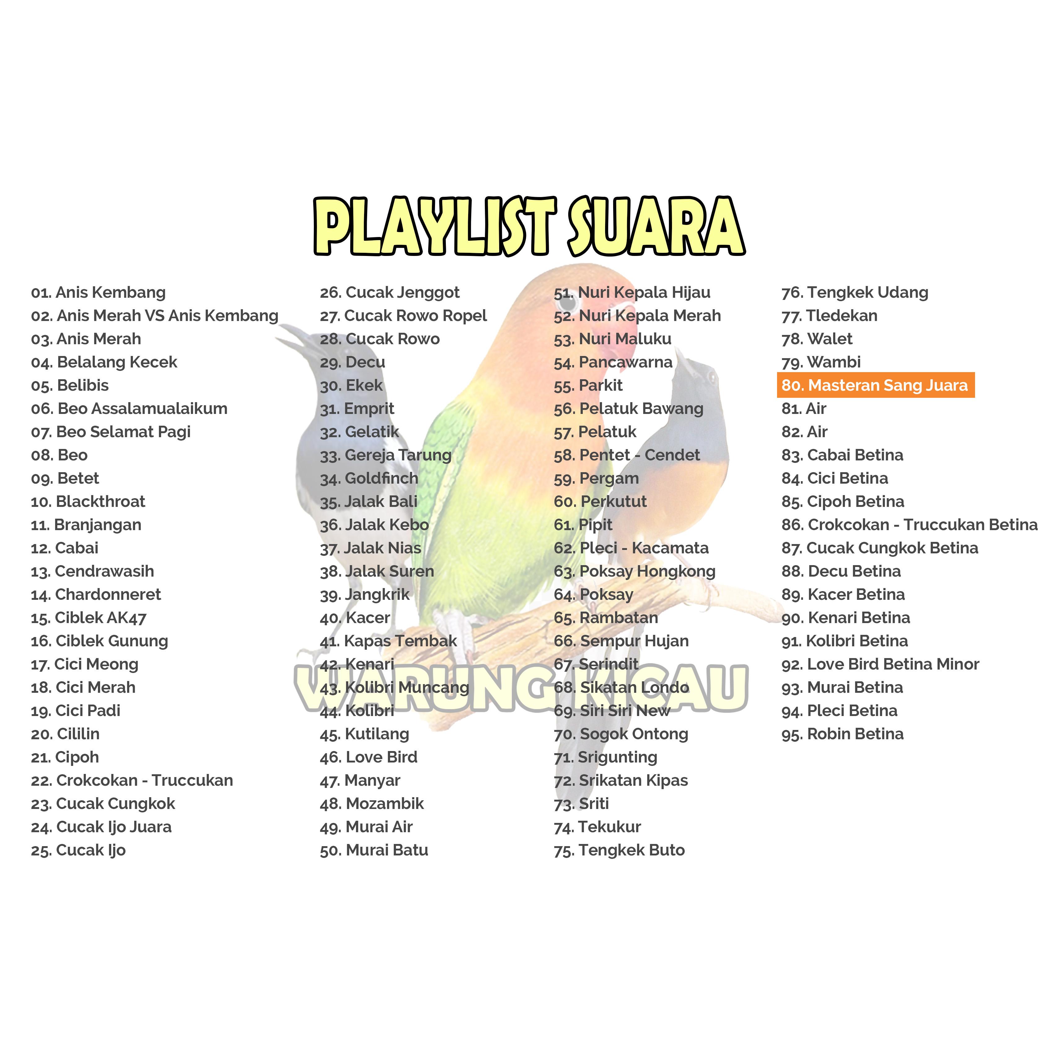 Masteran Burung Kicau Speaker Audio Cipoh Perkutut Decu Cucak Rowo