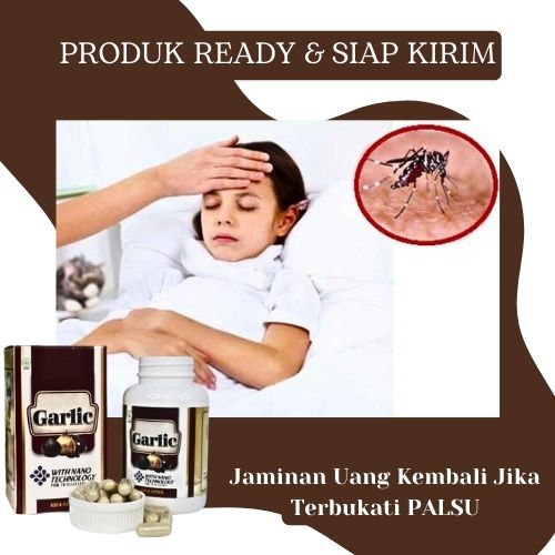 Obat Malaria, Obat Penyakit DBD, Obat Penyakit Malaria, Obat Demam ...