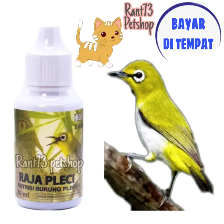 Raja Pleci 30 Ml Vitamin Burung Kecil Harian Penggacor Kolibri Cililin Lazada Indonesia