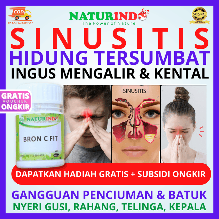 BRON C FIT Obat Sinusitis Herbal Kapsul Untuk Sinusitis , Radang ...