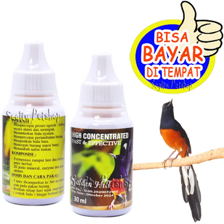 Obat Penumbuh Bulu Burung Rontok Atau Mabung Shopee Indonesia
