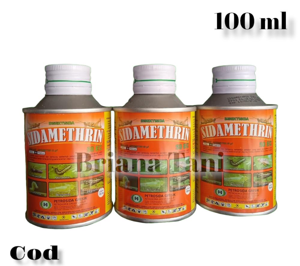 Busty qizlar bilan ajoyib porno