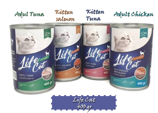 life cat kaleng adult