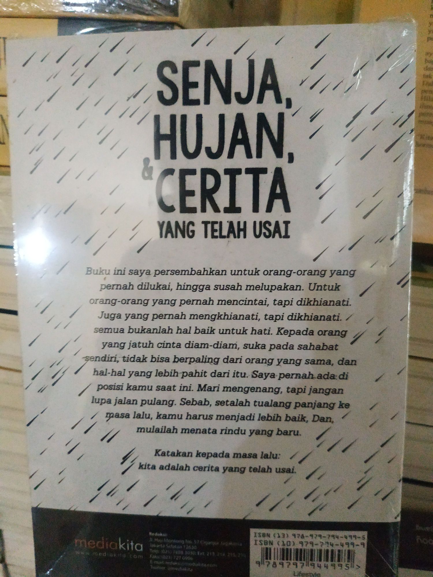 Novel Boy Candra Senja Hujan Dan Cerita Yang Telah Usai