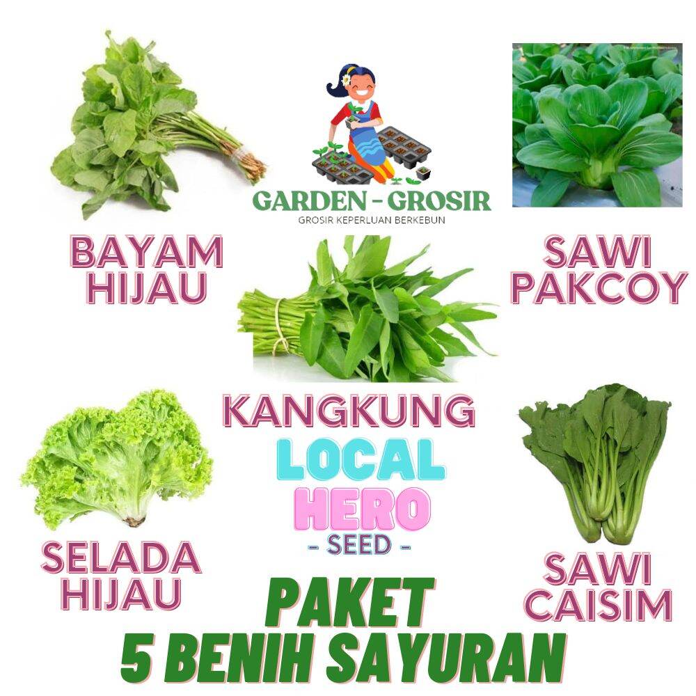 Paket Hemat 5 Benih Sayuran Segar
