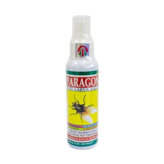 Paragon EC72D/120 – Temporizzatore Digitale EC72D - Foto 3