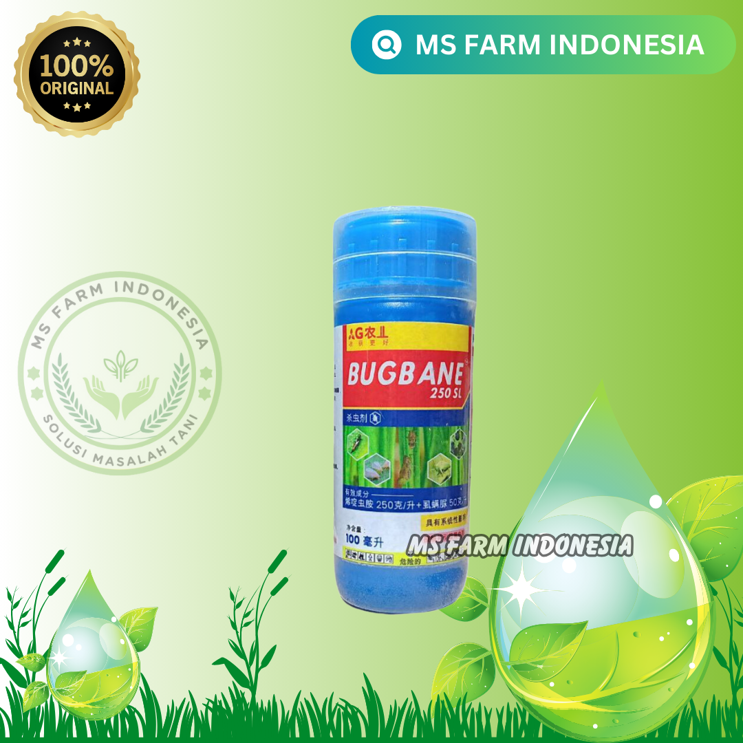 Insektisida Bugbane - Basmi Semua Jenis Wereng Serangga Kutu Thrips ...