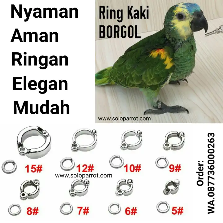 Ring Kaki Buat Burung Membeli Jualan Online Ranjang Dengan Harga