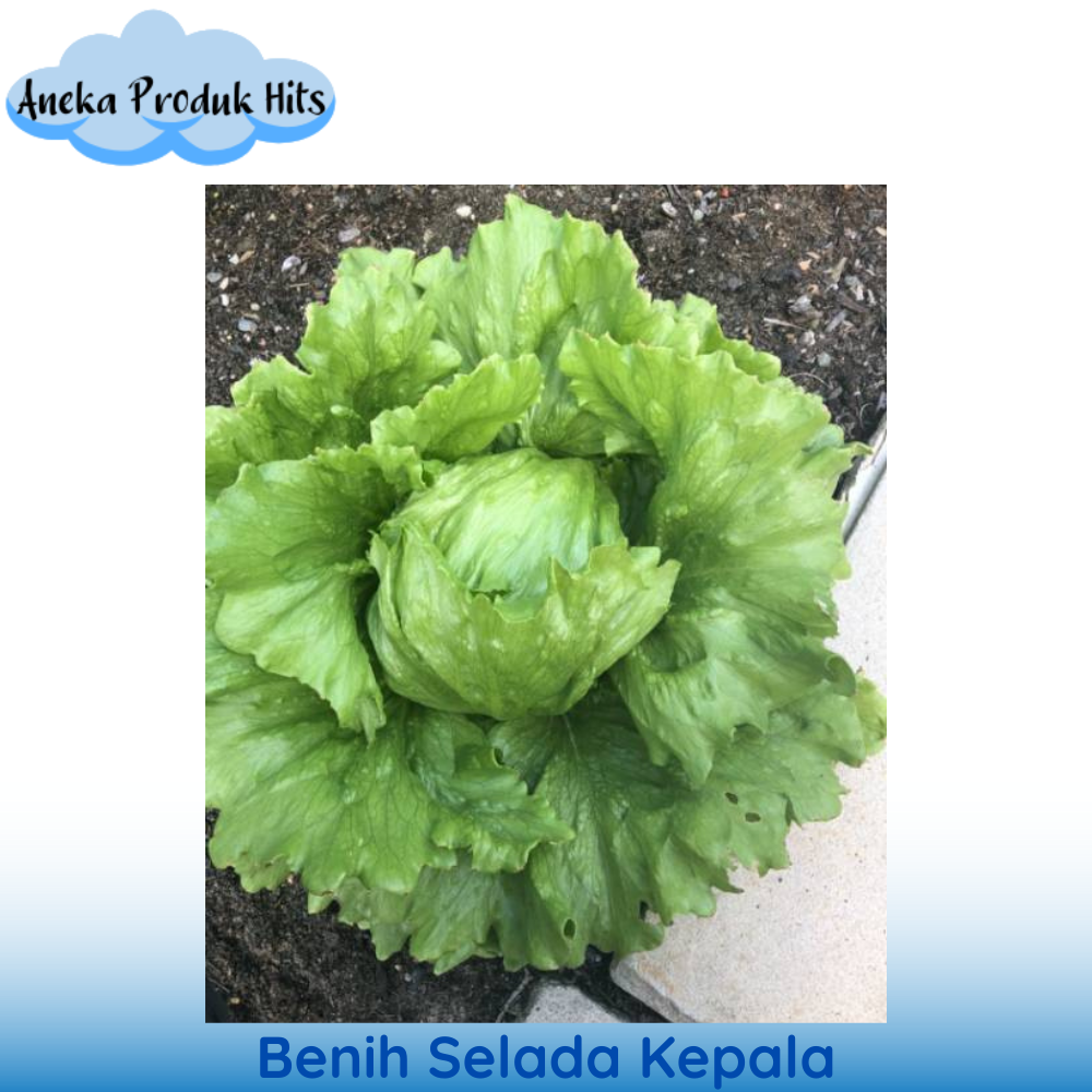 Dacha shaxsiy video Rus gozalligi bilan Woodman porno kasting