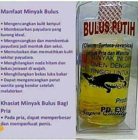 Minyak Bulus Putih Best Seller Termurah Lazada Indonesia