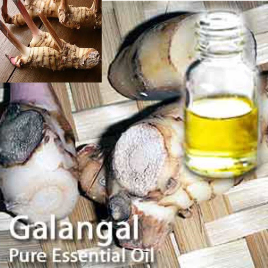 Galangal Essential Oil - Pure & Refreshing Aroma