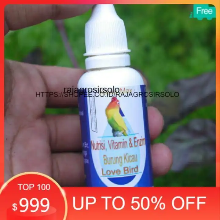 E Bodre Ebod Jaya Obat Burung Sakit Infeksi Saluran Kemih Penyakit Pernafasan Serak Pencernaan Sempati Bird Shop