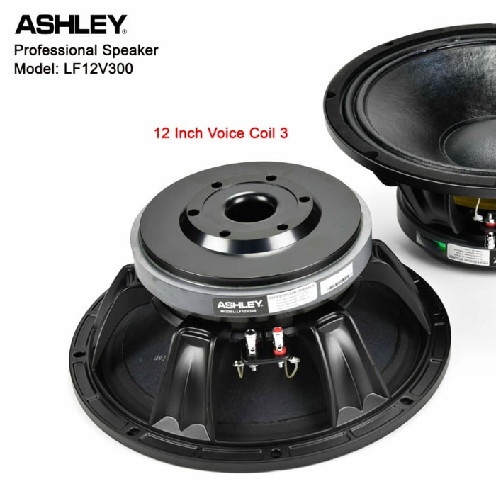 speaker ashley 12 inch