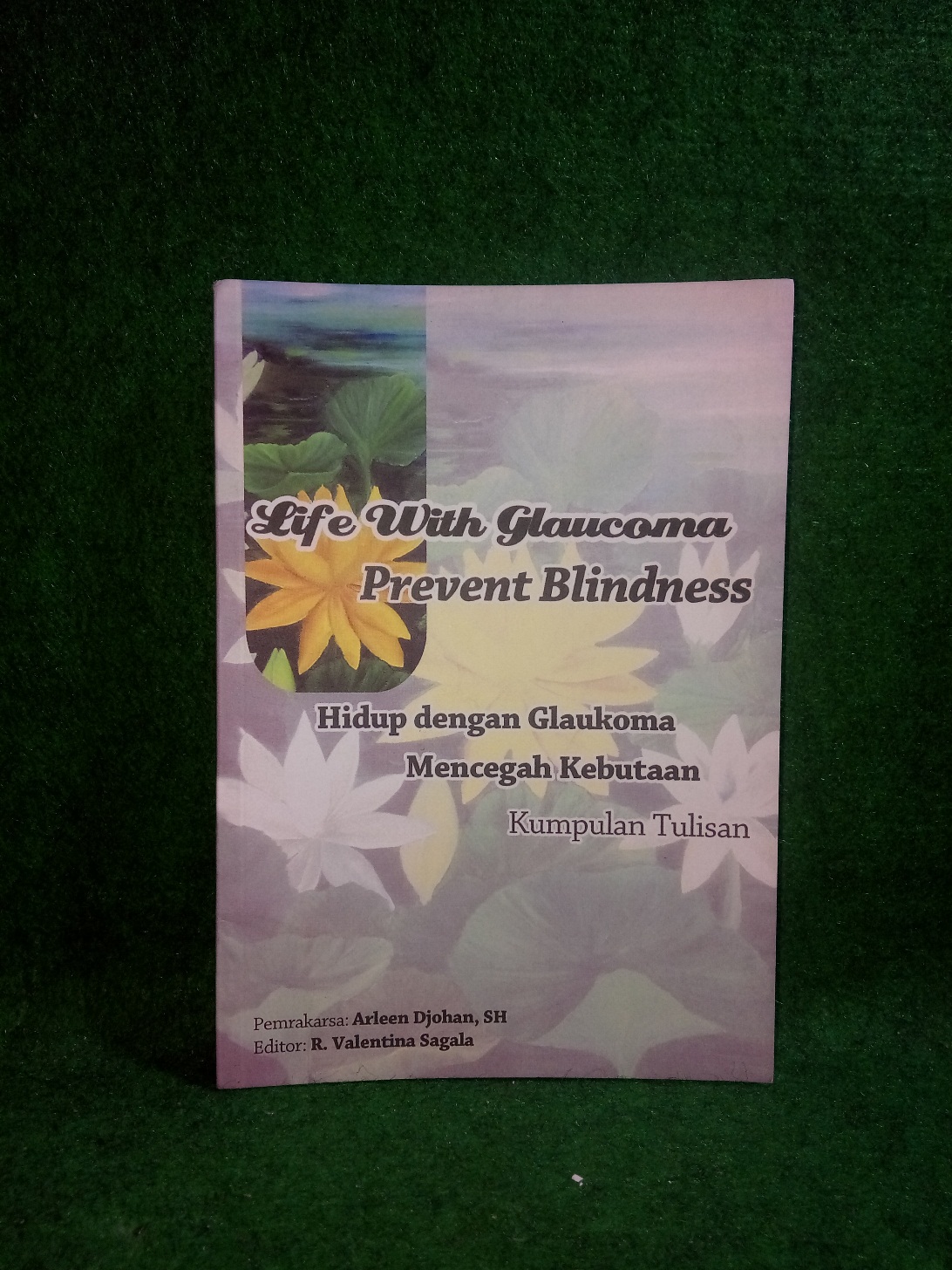 Original Buku Life With Glaucoma Prevent Blindness Hidup Dengan Glaukoma Mencegah Kebutaan Lazada Indonesia