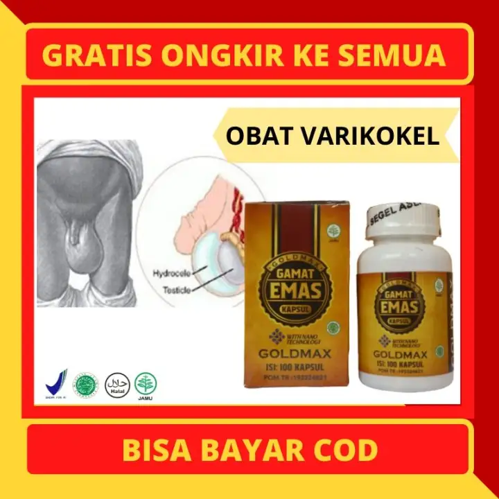 Obat Terlegalitas Untuk Varikokel Herbal Kapsul Testis Membengkak Obat Burut Obat Testis Besar Sebelah Herbal Untuk