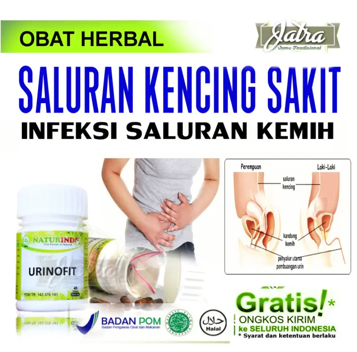 Obat Herbal Penghancur Batu Ginjal Bengkek Nyeri Pinggang Susah Buang Air Kecil Infeksi Saluran Kencing Obat