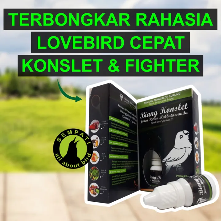 Sempati Biang Konslet Jinten Hitam Habbatussauda Merek Sempati Ramuan Spontan Konslet Gacor Untuk Burung Lovebird Kenari Kacer Murai Pleci Kolibri Cucak Dll Bckonslet Lazada Indonesia