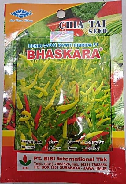 Cabe Rawit Hibrida F1 BHASKARA / Benih Cabai Rawit Hibrida F1