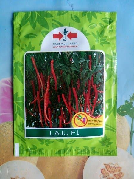 BENIH MURAH Cabe Merah Keriting Hibrida LAJU F1