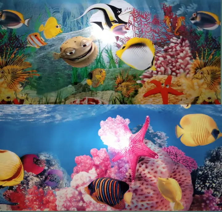 Free Gambar Background Aquarium Background Phone Tips