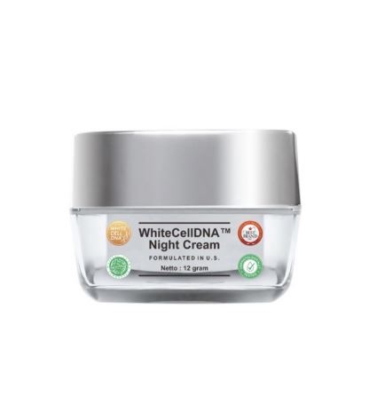 cream malam white cell dna ms glow - night cream dna - night cream ...