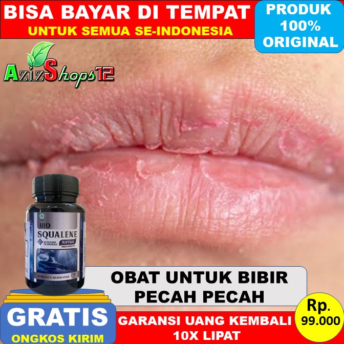 Jual Bibir Ikan Kering Terbaru Lazada Co Id