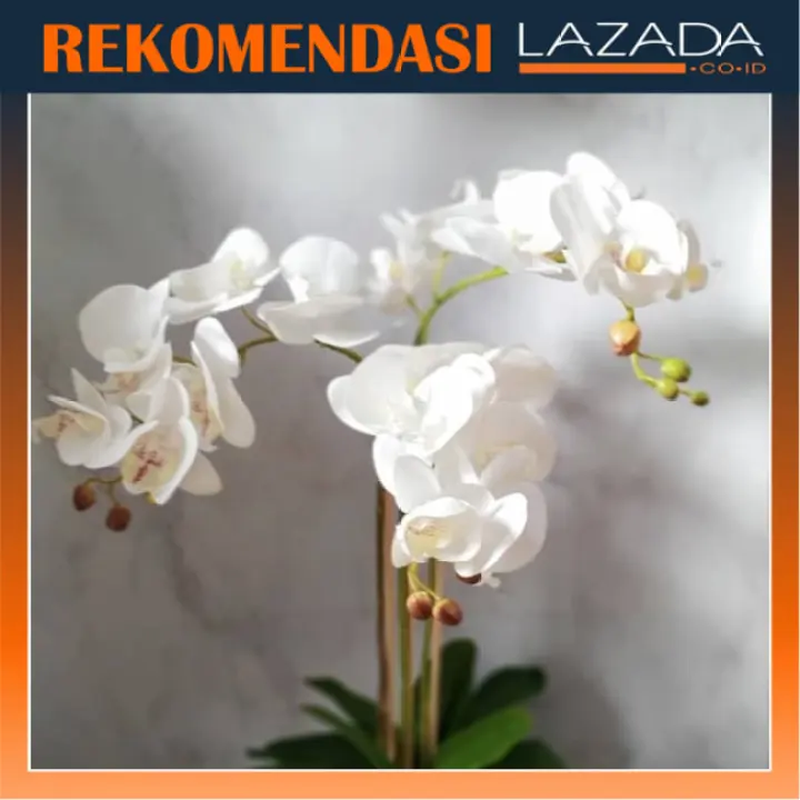 Rangkaian Bunga Anggrek Latex Import T 55cm D 26cm White Pot Gold Lazada Indonesia