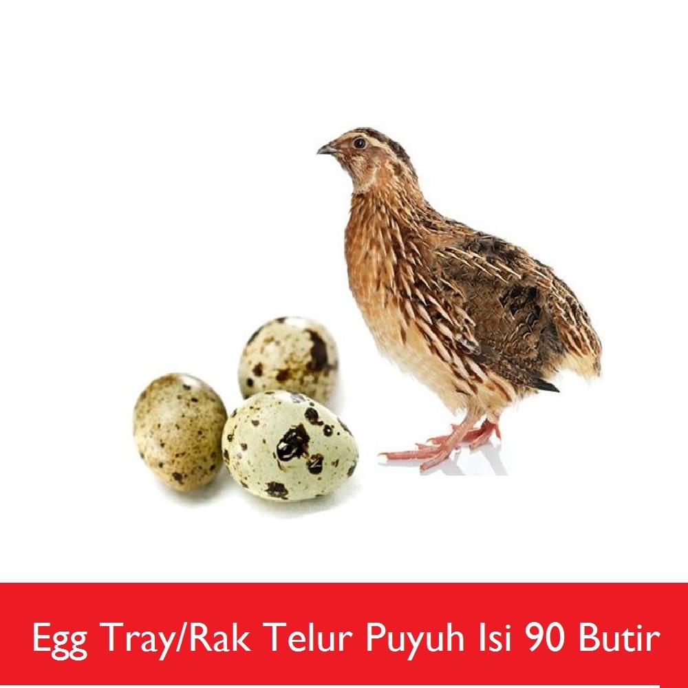 Tempat Telur Egg Tray Puyuh 90 Butir Jaminan Awet Dan Kuat Lazada Indonesia