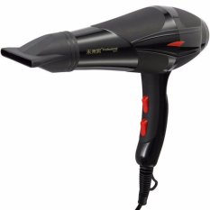 2200 W High-power Profesional Suhu Konstan Rambut Perawatan Rumah Tangga Pengering Rambut Blower Udara Panas dan Dingin untuk Salon Styling Alat (Hitam) -Intl