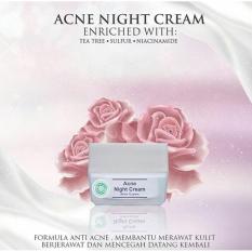 Acne Night Cream MS Glow