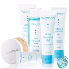 Acne Series Wardah Paket