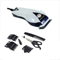 Alat Cukur Rambut, Kumis, Jenggot Professional Hair Clipper HK-900