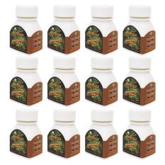 Alinesia - Tongkat Ali 100% (Ekstrak) - Paket 12 Botol