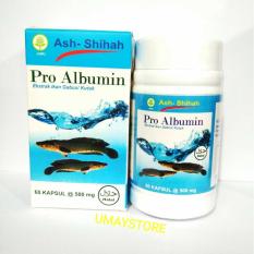 Ash Shihah Pro Albumin Ekstrak Ikan Gabus - 60 Kapsul